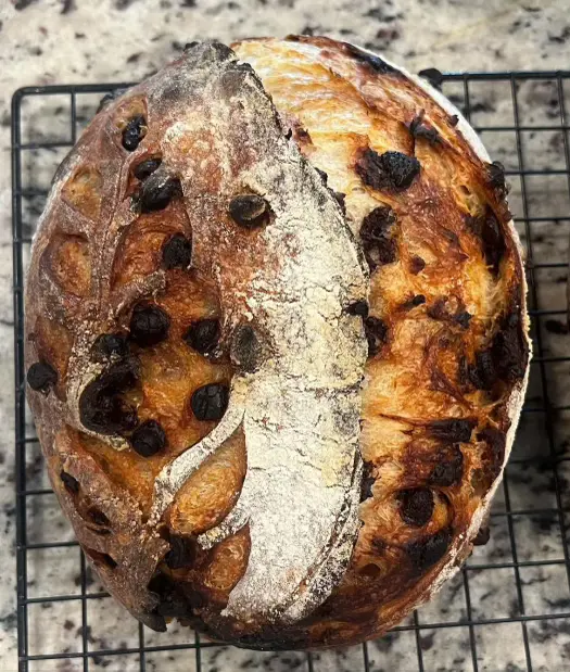 Chocolate chip sourdough loaf sliced open