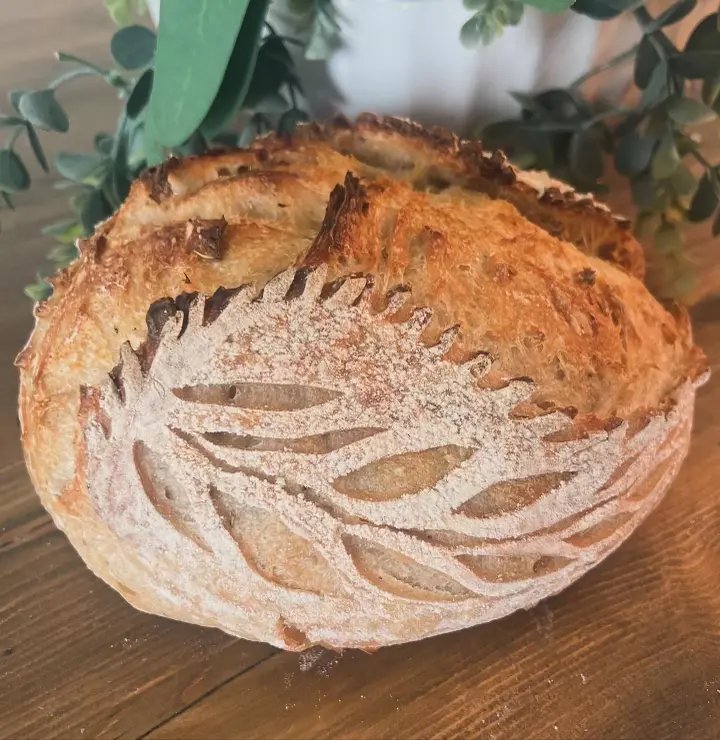 Rosemary garlic sourdough boule with a leaf-pattern score